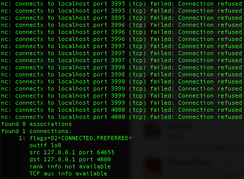 Netcat Port Scan